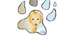 wolf-in-pawprint