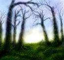 sunrise-in-the-woods