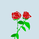 roses