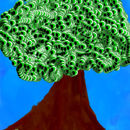 eye-tree