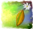 nature2