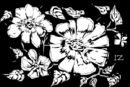 black-white-flowers