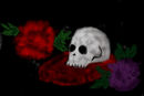 skulls-n-roses