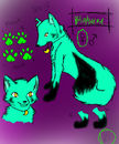 blakwind-ref blakwind-ref