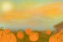 pumpkin-patch