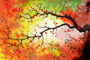 colors colors