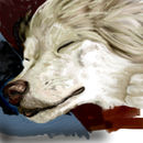 memory-unfinished-but-