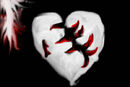 claws-in-my-heart