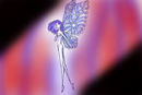 butterfly-girl