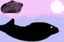 whale
