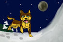 love-snow