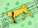 shiba-inu