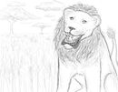 lion