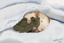 night-night-sleep-tigh night-night-sleep-tigh