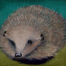 winter-hedgehog
