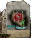 one-red-rose