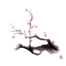 plum-blossoms