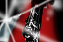 dantes-gun-and-shiny-s