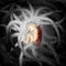 devils-child by sarah476476