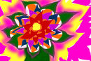 a-colorful-flower a-colorful-flower