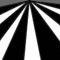 zebra by lol123