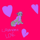lavander-love