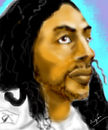 troy-polamalu
