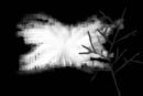 in-the-dark