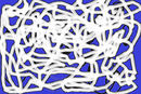 chromosom