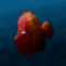 500m-fish by ShishBdish