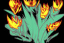 unique-flowers