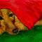 lost-in-thought by Geeta