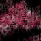 red by carsten