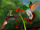humming