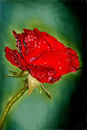 for-you