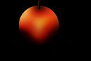 apple apple