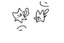 bouncing-cats