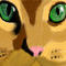 cat by melaniebouman