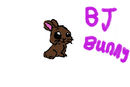 bj-bunny