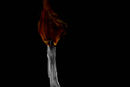 put-the-wild-flame-out