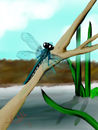 dragonfly-days