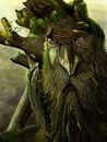treebeard