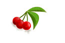 cherries