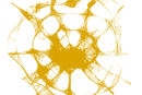 the-golden-web