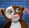 mogwai by Donnie