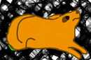 dog-lying-down