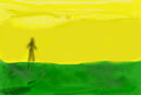 sunny-scene