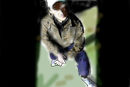 selfmade