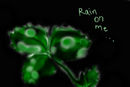 rain-on-me