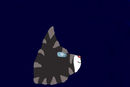 jayfeather